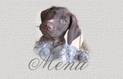 Menu Kal�